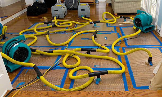 Professional Basement Flood Cleanup technician working in Alviso, CA